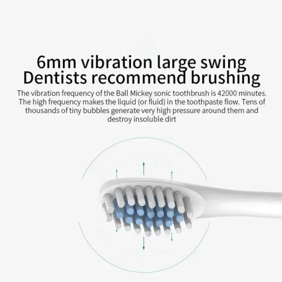 Electric Toothbrush Waterproof DuPont Brush Head USB Rechargeable High Frequency Cleaning